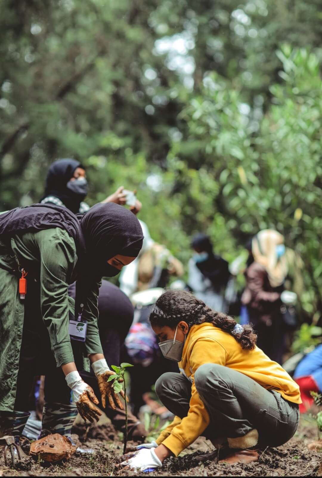 One Donation, One Tree, One Future : Support YELCC Against Desertification 🌍🌱